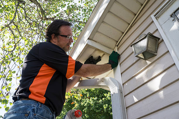 Best Custom Trim and Detailing for Siding  in Oak Grove, MS